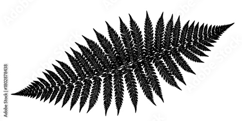 Winter Fern Leaf Intricate Vein Silhouette Flat Vector