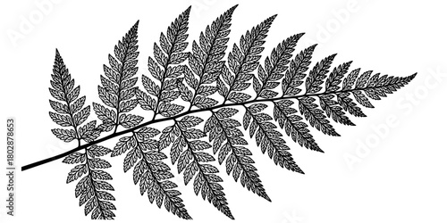 Winter Fern Leaf Intricate Vein Silhouette Flat Vector