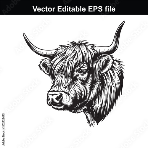 Highland cow head, profile view, long horns and shaggy hair, black and white sketch, vector art