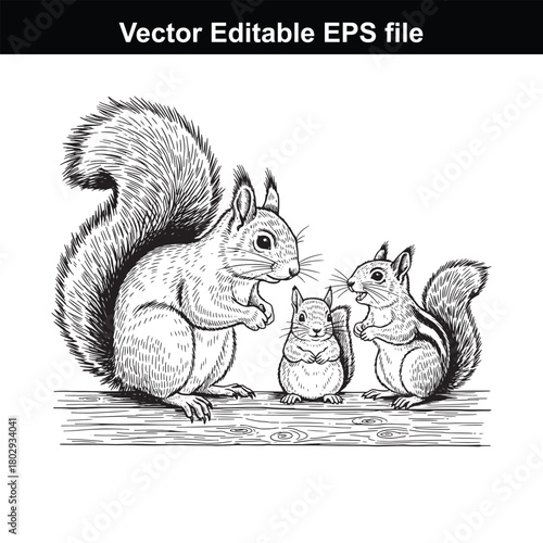 Family of squirrels on a wooden surface, mother and two babies, isolated on