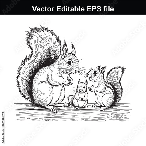Three squirrels, a family, drawn in a vintage woodcut style, isolated on