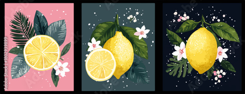 Zestaw trzech ilustracji z cytrynami, liśćmi i kwiatami na różnych tłach.