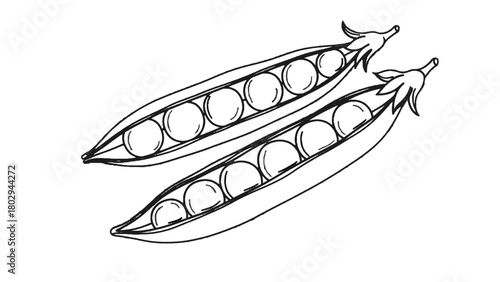 Vector illustration of two fresh pea pods with peas inside, isolated on transparent background 