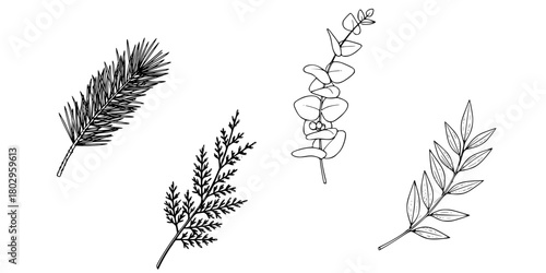 Botanical Sprig Icon Set Minimalist Line Art Flat Vector