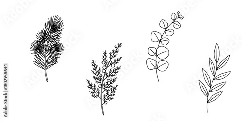Botanical Sprig Icon Set Minimalist Line Art Flat Vector