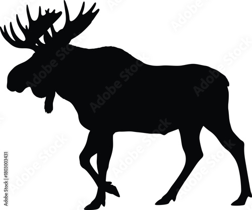 Majestic bull moose silhouette standing proudly against white background