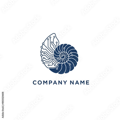 Digital Nautilus Shell Logo Design.