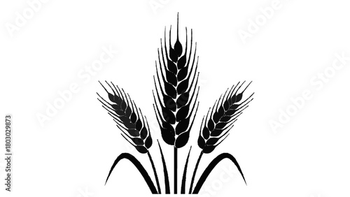 Vector illustration of three stalks of wheat, isolated on transparent background 