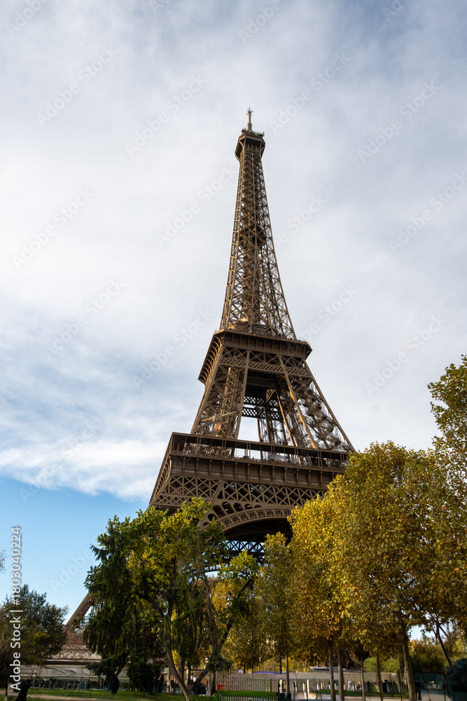 Fototapeta premium Walking in Paris in autumn, view on part trees and iconic Eiffel tower in daytime