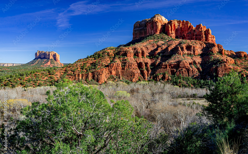 Fototapeta premium Beautiful red rocks and green forests of Sedona Arizona