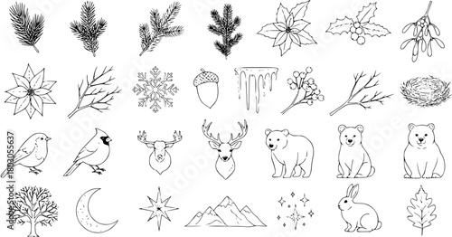 Winter Forest Illustration: A Collection of Wildlife and Nature Elements in Outline Style
