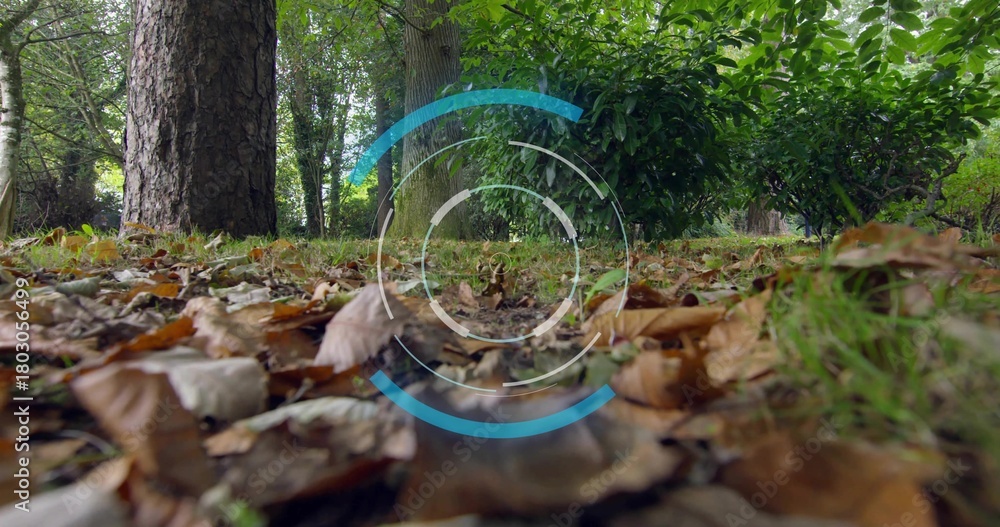 Fototapeta premium Floating hazy AR overlay hovering above leafy forest floor in woodland with leaves and twigs