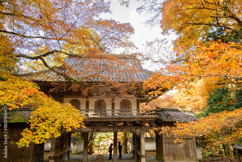 Autumn color at Kogenji temple in Tanba, Hyogo prefecture, Japan