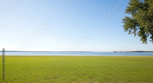 木陰の広原風景