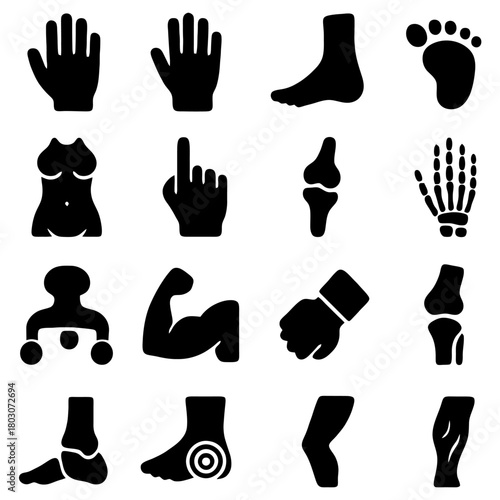 Anatomy Icons: A collection of meticulously crafted anatomical icons showcasing the intricacies of the human body, serving as an educational resource