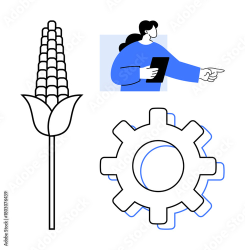 Corn stalk, gear representing technology and woman holding a tablet while pointing. Ideal for agriculture, innovation, technology, sustainability, management, decision-making farming. Simple flat