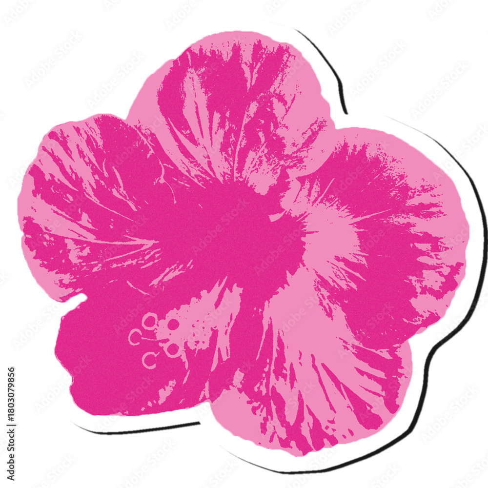 Obraz premium Stylized Hibiscus flower isolated raster element