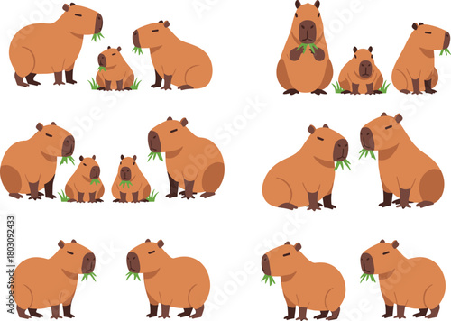 Cute cartoon capybara groups chewing grass, sitting and standing in various poses, educational animal illustration in grid layout