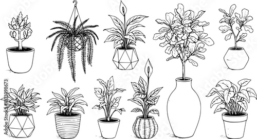Collection of Potted Plant Illustrations in Sketch Style

