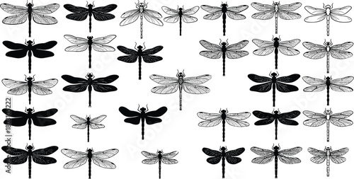 Collection of black and white dragonfly illustrations with detailed wings and silhouettes