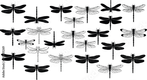 Collection of black and white dragonfly silhouettes and line drawings insect