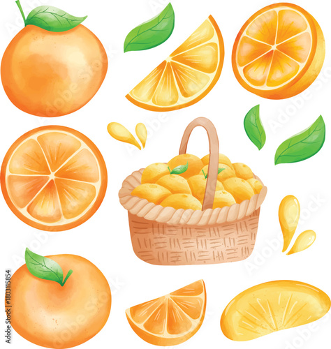 Fresh bright Watercolor Orange Fruit Set