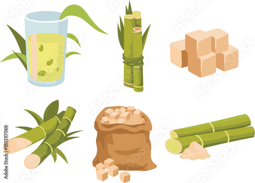 set of fresh green tea with leaves