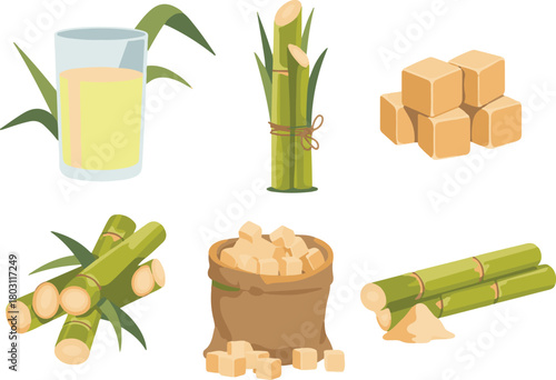 set of different kinds of food