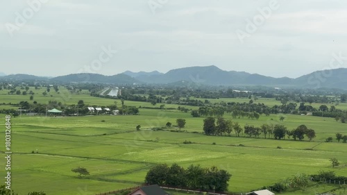 a wide view of countryside, with green rice fields stretching to the mountains in the distance