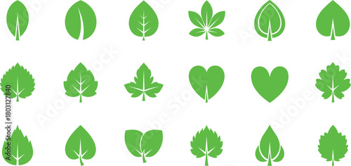 Collection of Green Leaf Icons and Symbols in Various Shapes nature