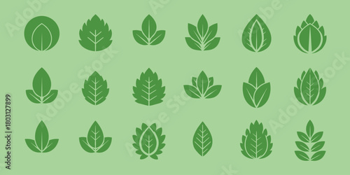 Collection of Green Leaf Icons and Symbols on Light Green Background nature