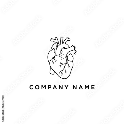 Anatomical Heart Logo Design.