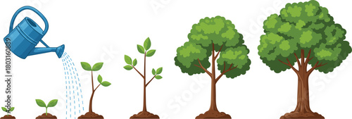 Tree Growth Stages Vector Illustration Showing Plant Development from Seedling to Mature Tree, Symbolizing Business Growth, Investment, Nurturing, Life Cycle, and Environmental Care.