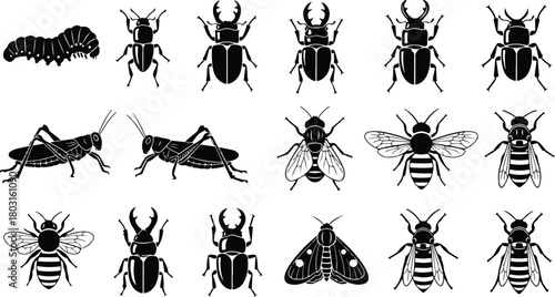Collection of various insect silhouettes perfect for educational or design projects black and white.