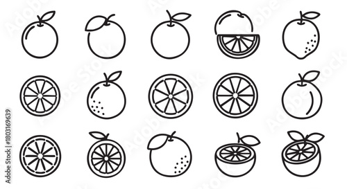 Black outline drawing seamless pattern of oranges on white background