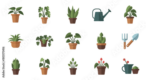 Collection of Potted Plants and Gardening Tools in Vector Style.