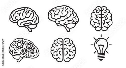 Brain illustrations symbolizing intelligence thought process creativity memory and cognitive function