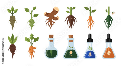 Collection of Root Vegetables and Herbal Extracts in Laboratory Glassware.