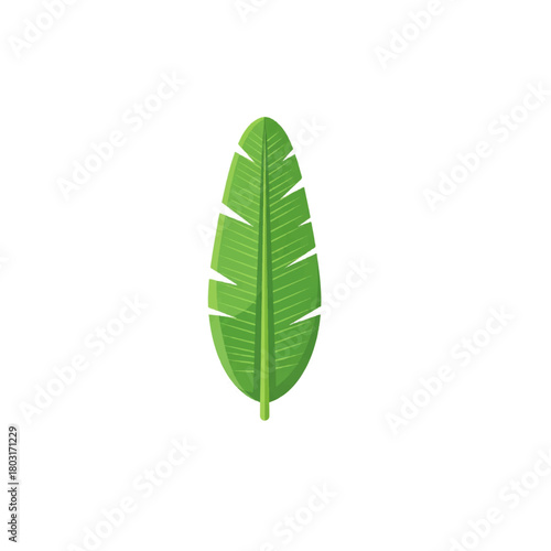 Stylized Exotic Foliage Graphic Element