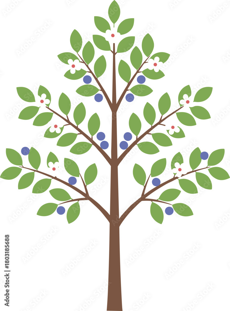 Fototapeta premium Simple Flat Blueberry Tree With Leaves And Flower Spring Season Illustration