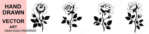 Classic hand drawn rose flower vector artwork displaying stylized silhouette blossoms and leaves ideal for decorative prints, logo creation, packaging design, invitations, and elegant floral themed co