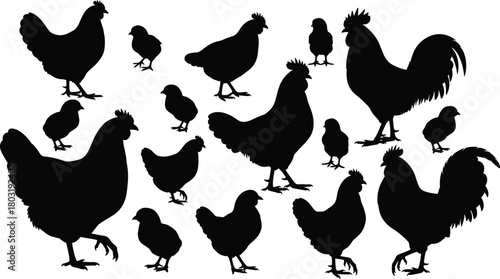 Chicken silhouette, rooster profile, chick shape, poultry icon, farm animal, bird outline, livestock graphic, side view, feather detail, comb, wattle, tail, hatchling, domestic bird, barnyard theme