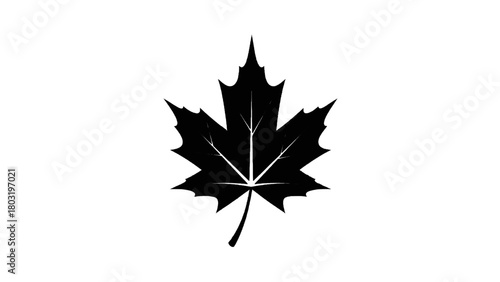 Vector illustration of black maple leaf silhouette isolated on transparent background 