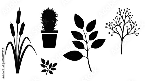 Vector illustration of collection of black silhouette plant and tree elements isolated on transparent background 