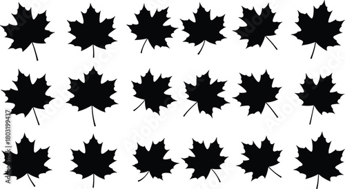Maple leaf silhouette grid, black vector illustration, symmetrical foliage pattern, nature design element, seasonal shape repetition, botanical layout concept