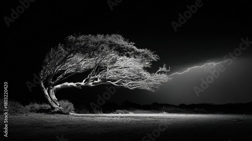 superego. A lone tree bent by strong winds during a stormy night with dramatic lighting. ESG reports, sustainability campaigns, designed for sustainability communications and ESG reporting.