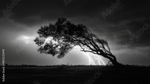 superego. A lone tree bent by strong winds during a stormy night with dramatic lighting. ESG reports, sustainability campaigns, designed for sustainability communications and ESG reporting.