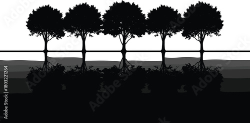 Silhouetted row of trees with water reflections, calm nature landscape illustration, mirrored forest scene in minimal black and white design