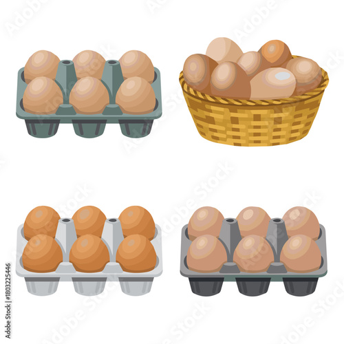Fresh eggs in carton and basket vector illustration for cooking baking breakfast and healthy eating concept