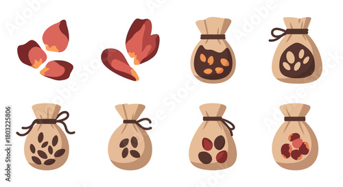 Collection of various seeds and grains in small burlap sacks and loose.